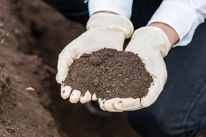soil testing reduced