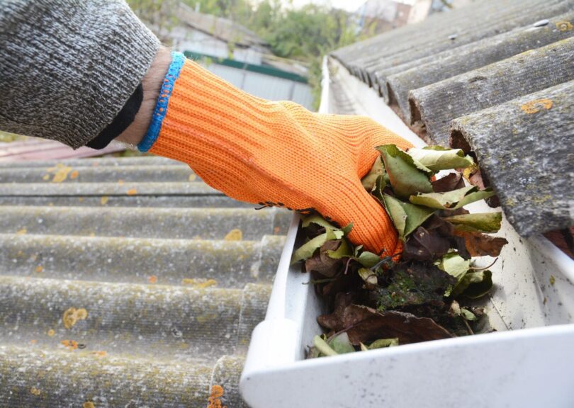 Understanding the Importance of Gutter Cleaning scaled