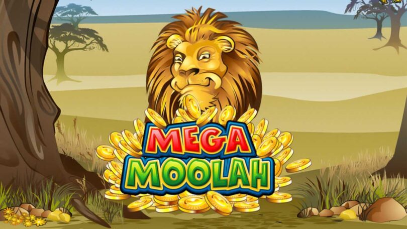 The Mega Moolah Millionaire