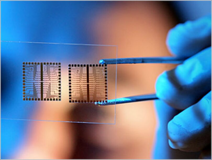 Biochips Market