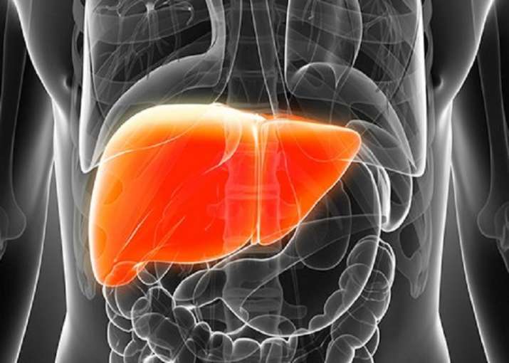 Liver Diseases Therapeutics