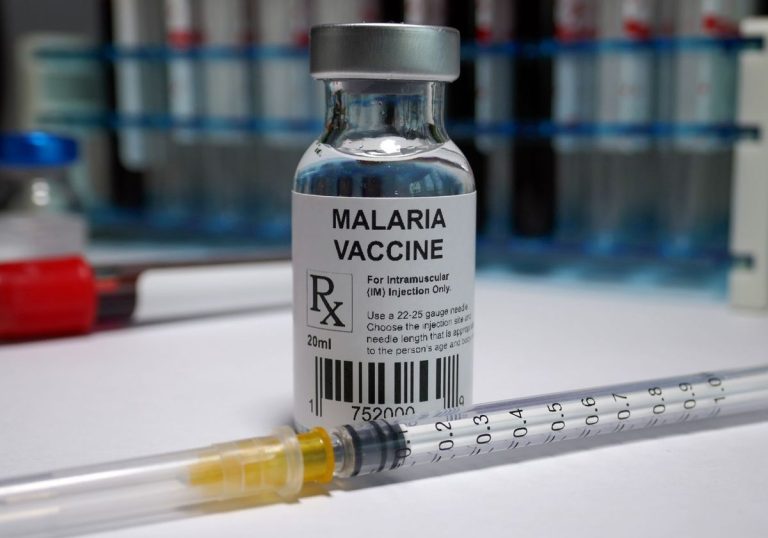 Malaria Vaccines Market