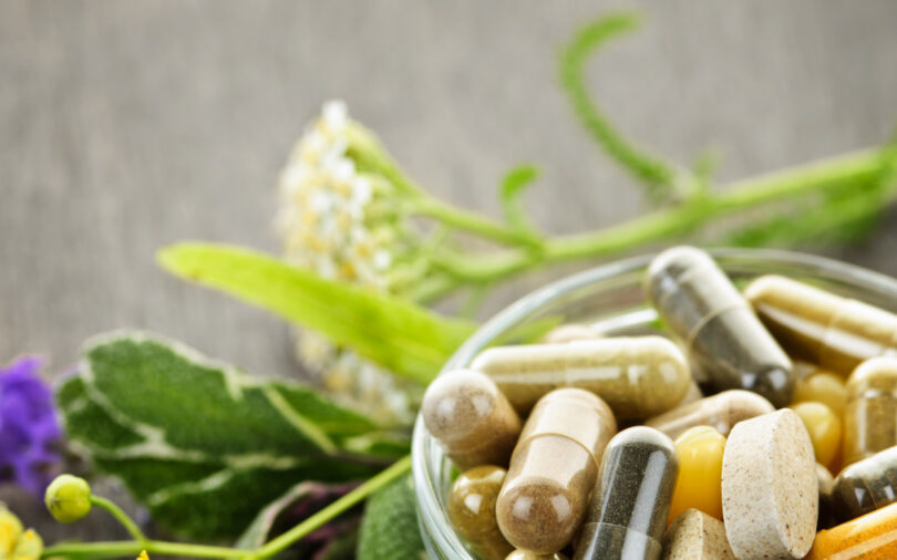 Nutraceutical Ingredients Market