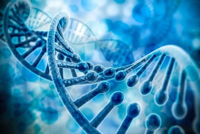 SNP Genotyping and Analysis