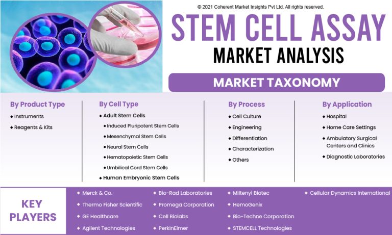 Stem Cell Assay