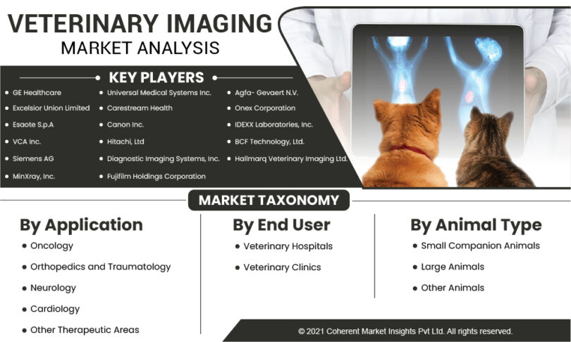 Veterinary Imaging 2