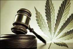 Global Legal Marijuana Market