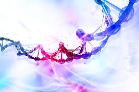 Global Viral Vectors and Plasmid DNA Manufacturing Market