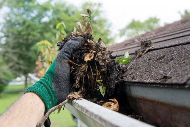 Creating an Annual Gutter Cleaning Plan Tips for a Well Maintained Home
